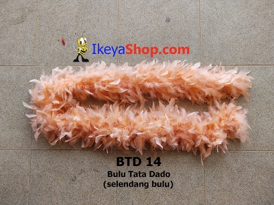 BTD 14  large2